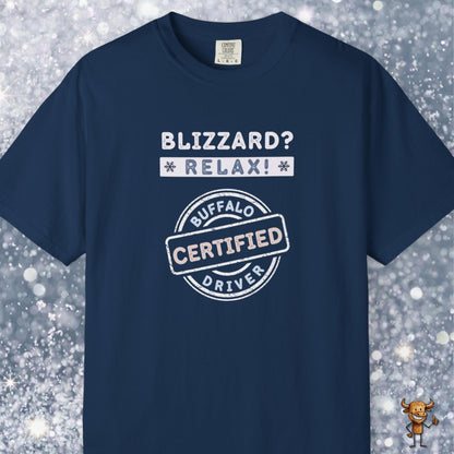 Blizzard? Relax: Certified Buffalo driver