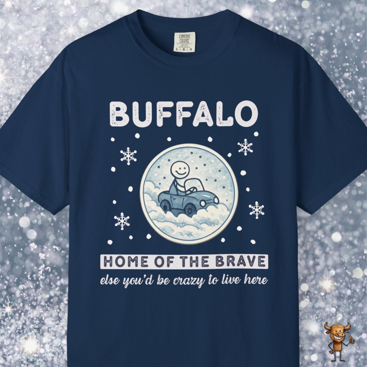 Home of the brave - driving through winter storm