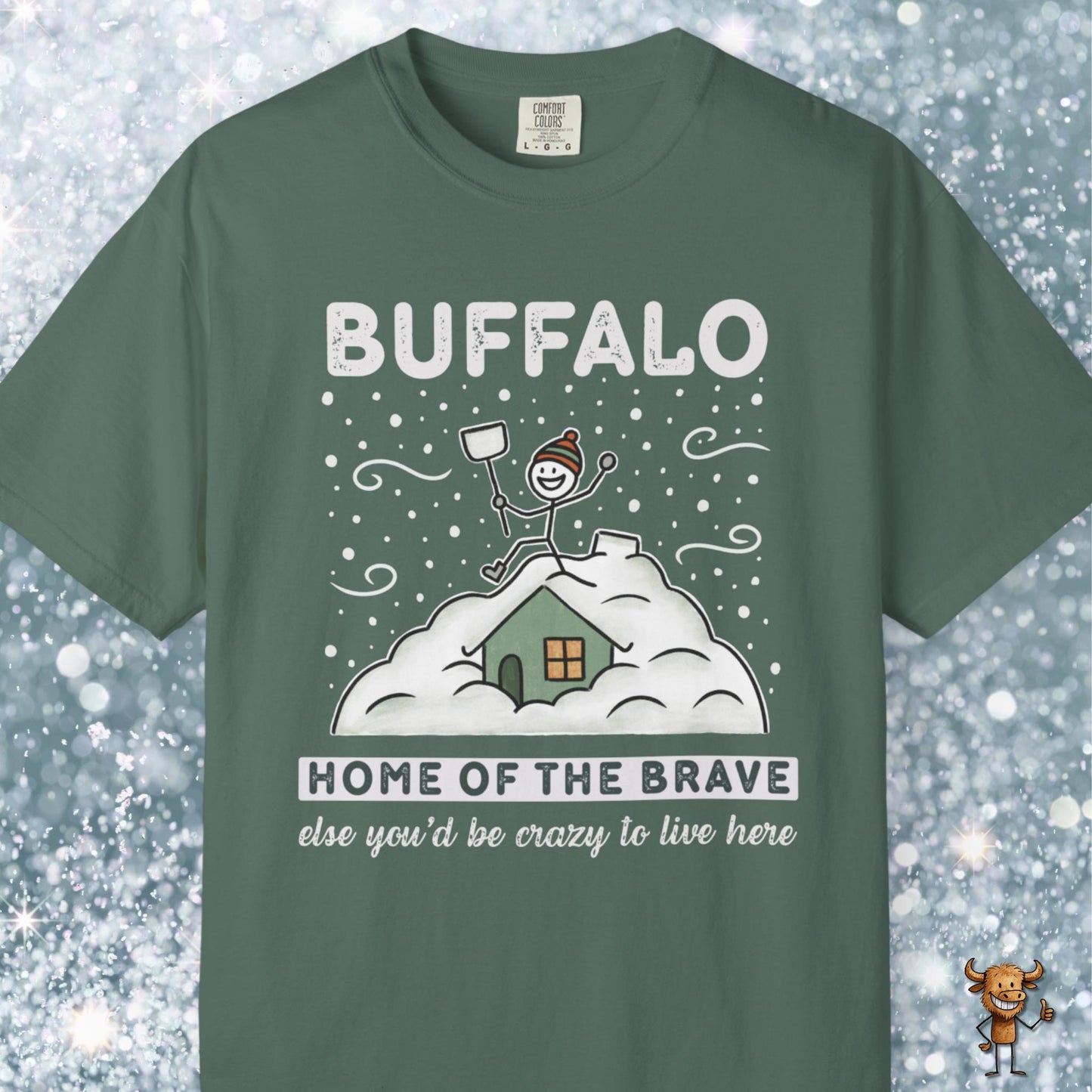 Home of the brave - shoveling the roof