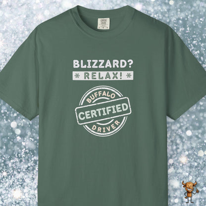 Blizzard? Relax: Certified Buffalo driver