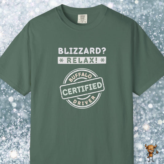 Blizzard? Relax: Certified Buffalo driver