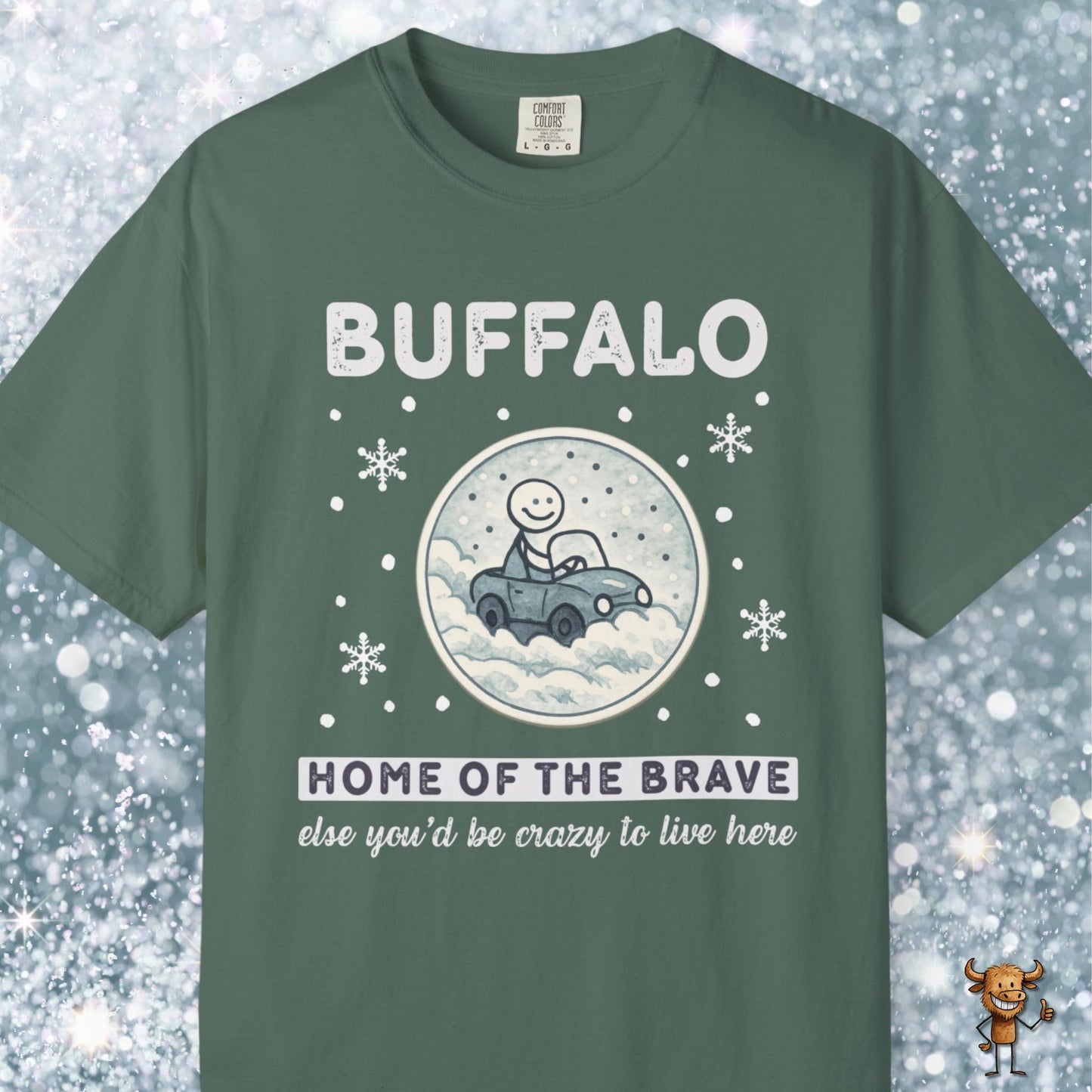 Home of the brave - driving through winter storm