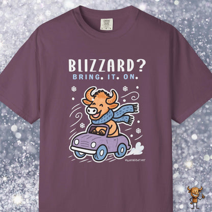 Blizzard? Bring. It. On.