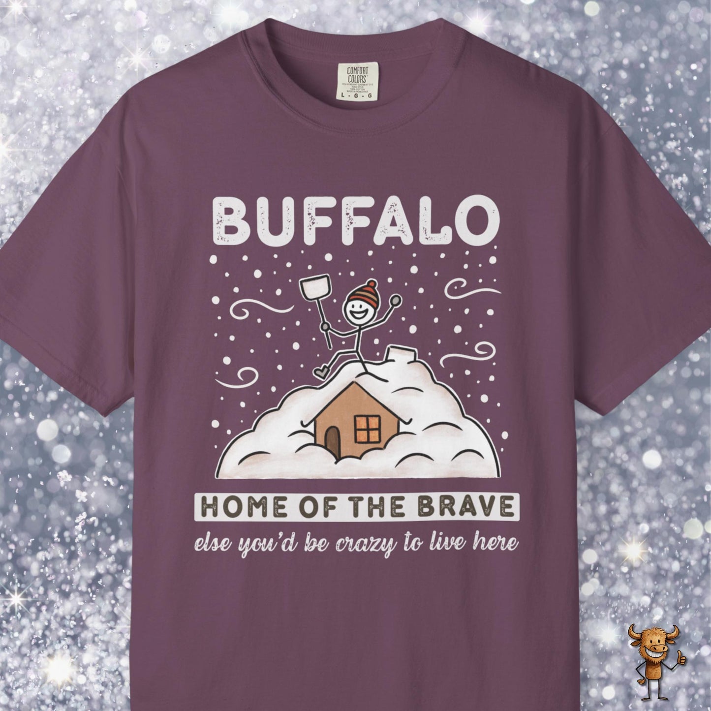 Home of the brave - shoveling the roof