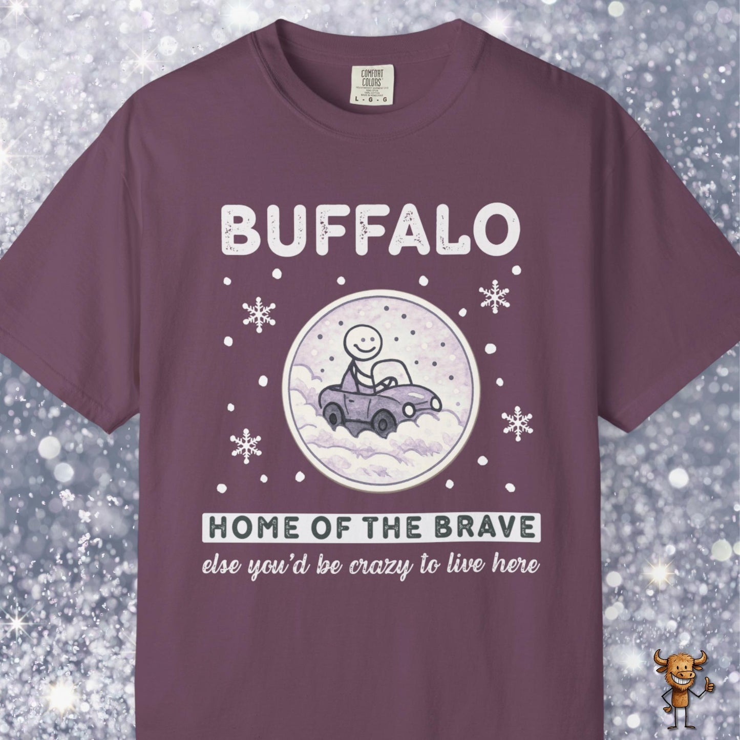 Home of the brave - driving through winter storm