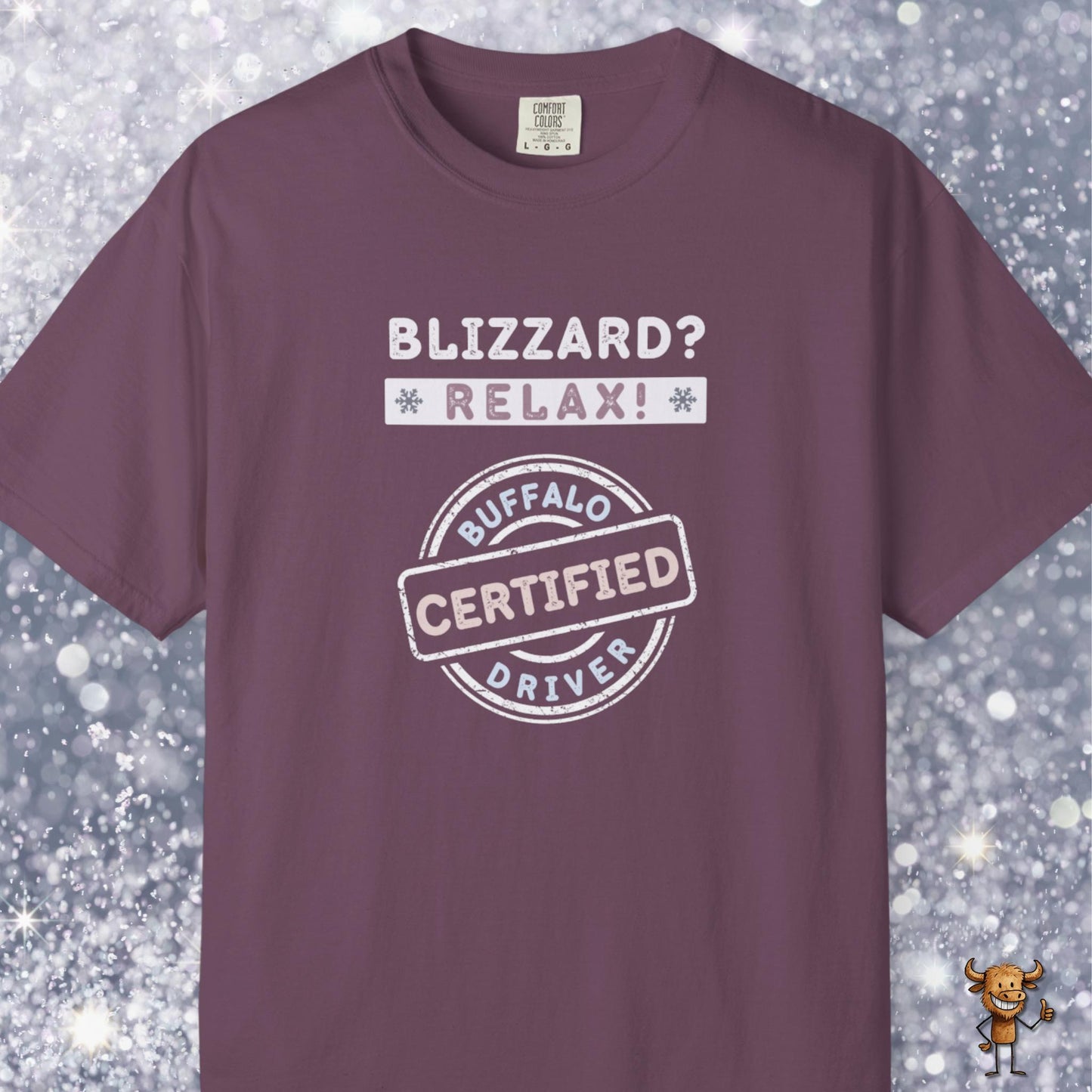 Blizzard? Relax: Certified Buffalo driver