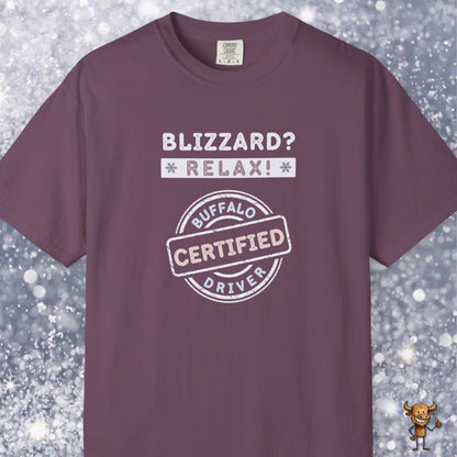 Blizzard? Relax: Certified Buffalo driver