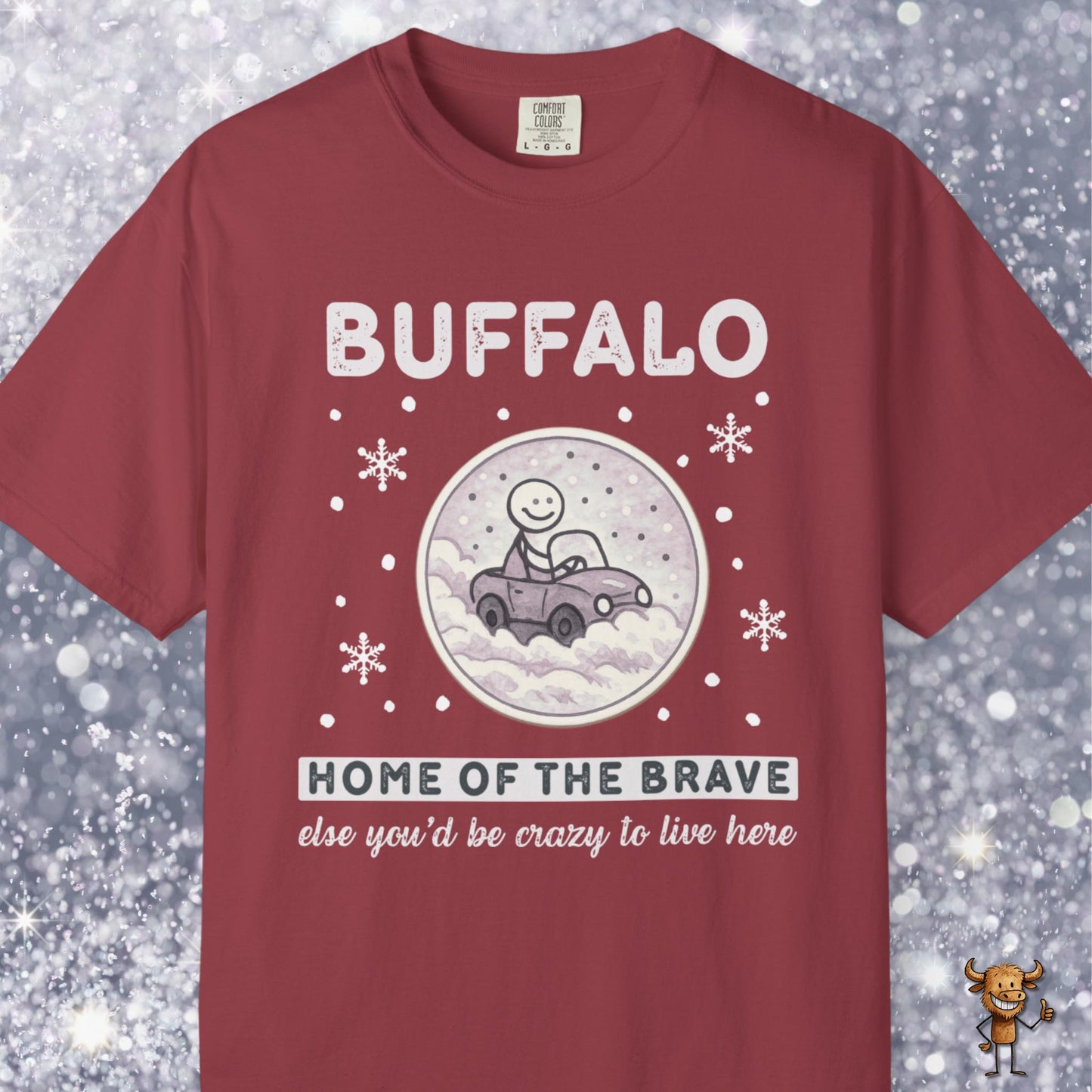 Home of the brave - driving through winter storm