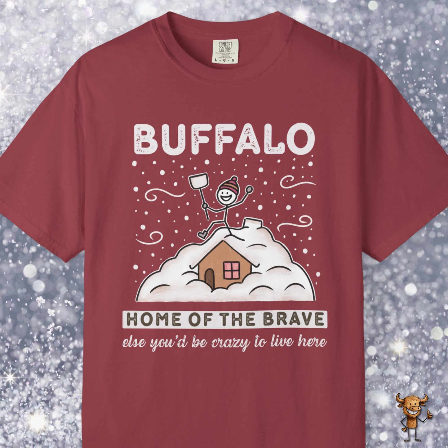 Home of the brave - shoveling the roof