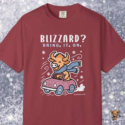 Blizzard? Bring. It. On.