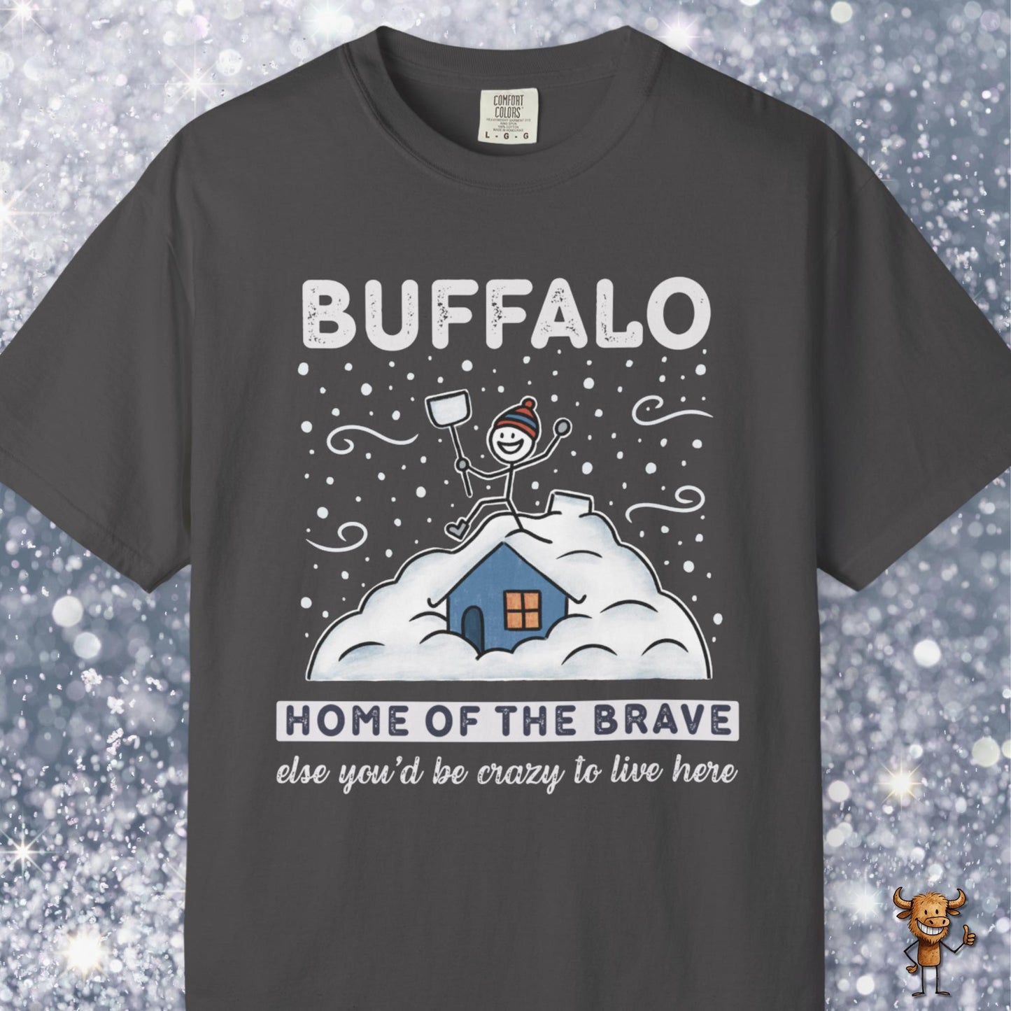 Home of the brave - shoveling the roof