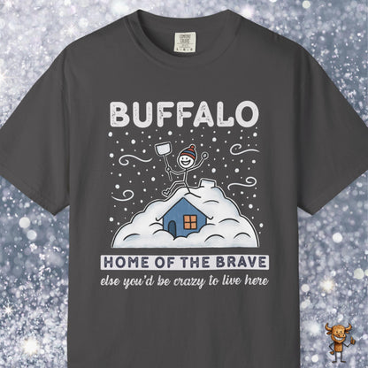 Home of the brave - shoveling the roof