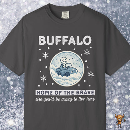 Home of the brave - driving through winter storm