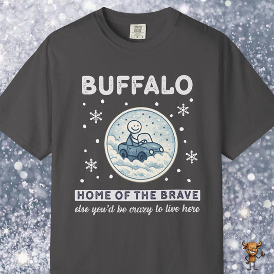 Home of the brave - driving through winter storm