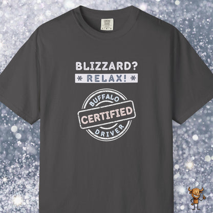 Blizzard? Relax: Certified Buffalo driver