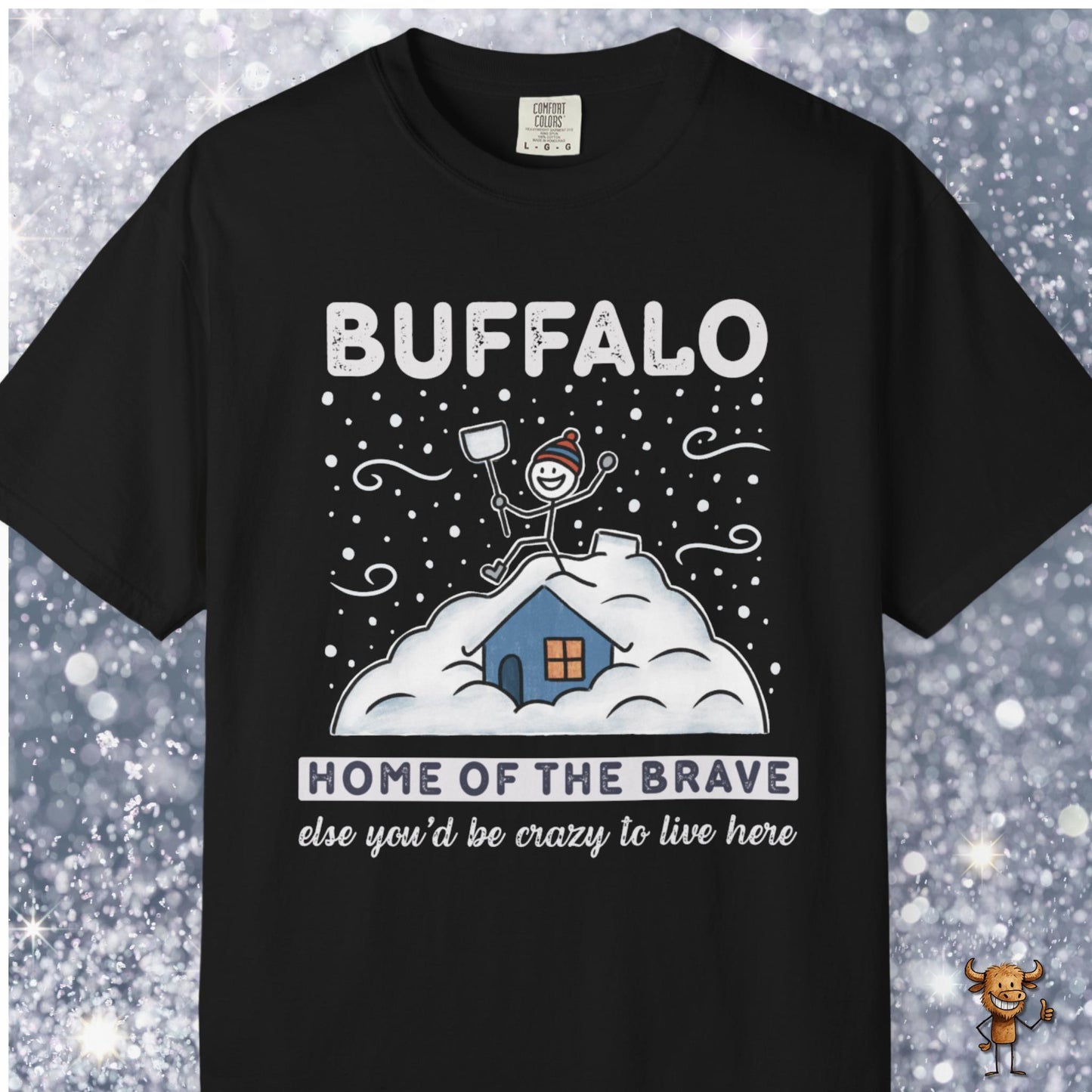 Home of the brave - shoveling the roof