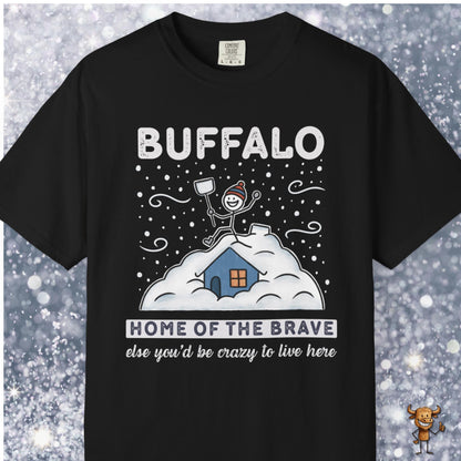 Home of the brave - shoveling the roof