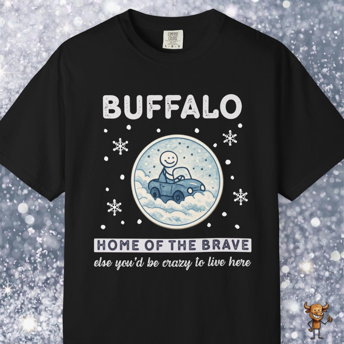 Home of the brave - driving through winter storm