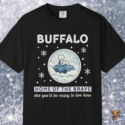 Home of the brave - driving through winter storm