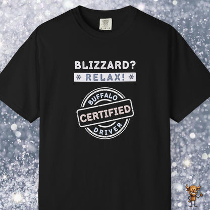 Blizzard? Relax: Certified Buffalo driver