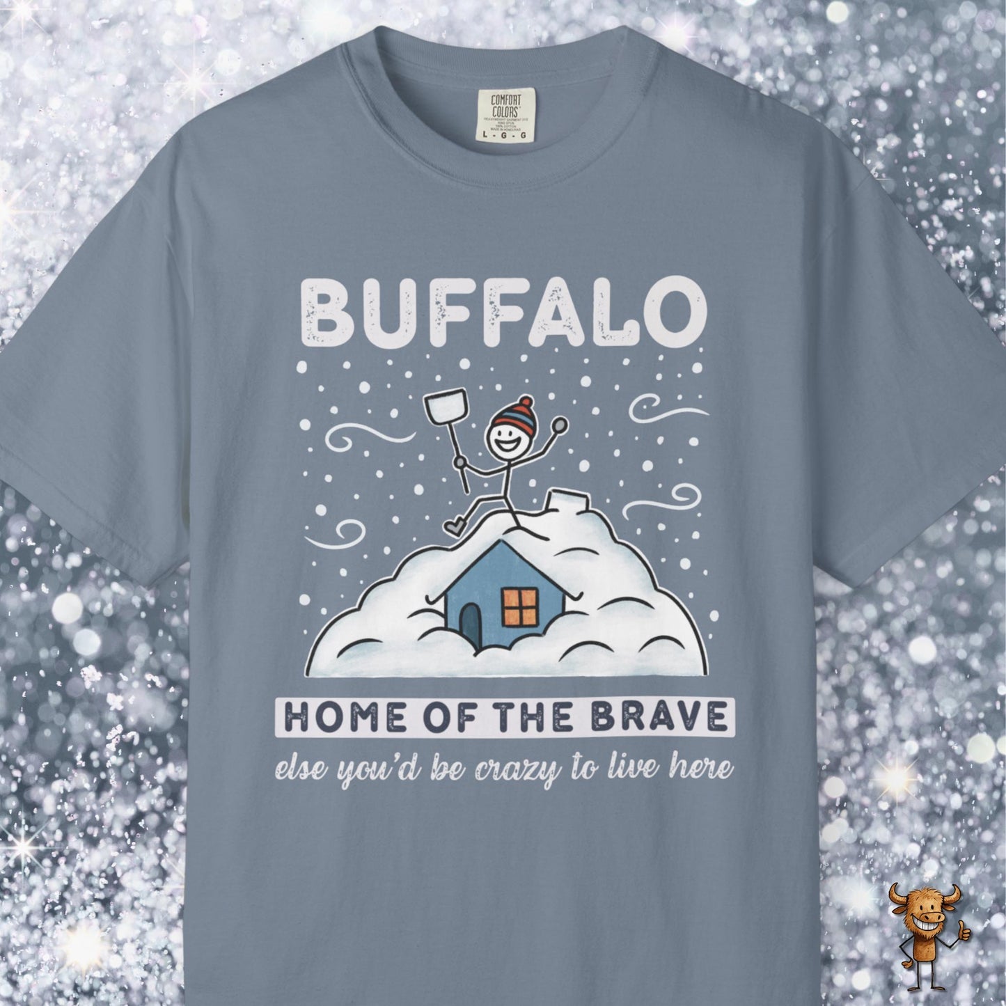 Home of the brave - shoveling the roof