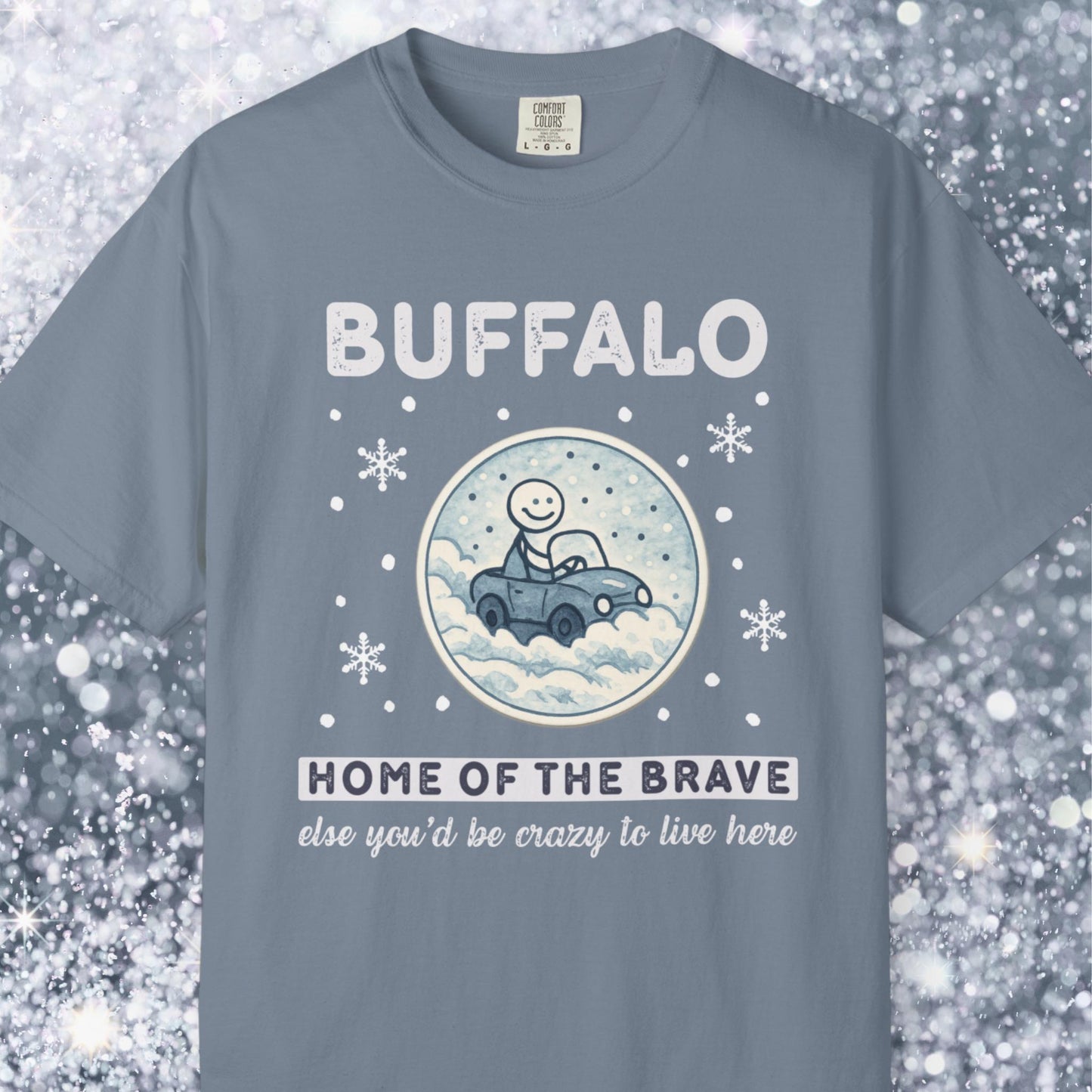 Home of the brave - driving through winter storm