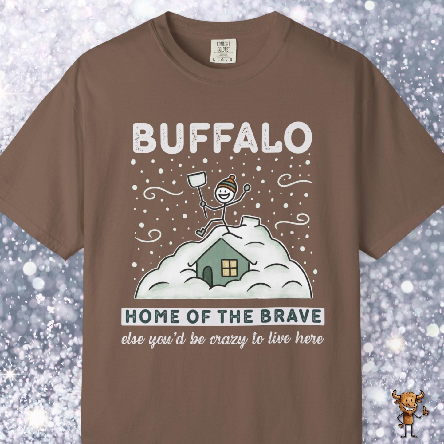 Home of the brave - shoveling the roof