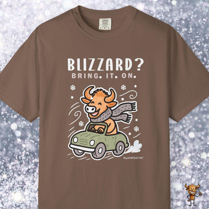 Blizzard? Bring. It. On.