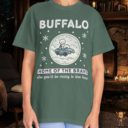 Home of the brave - driving through winter storm