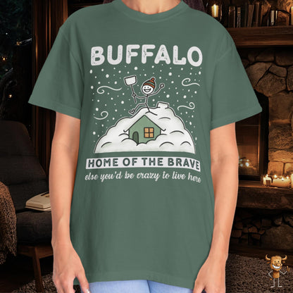 Home of the brave - shoveling the roof