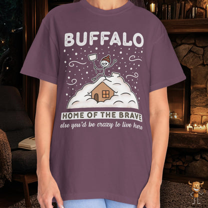 Home of the brave - shoveling the roof