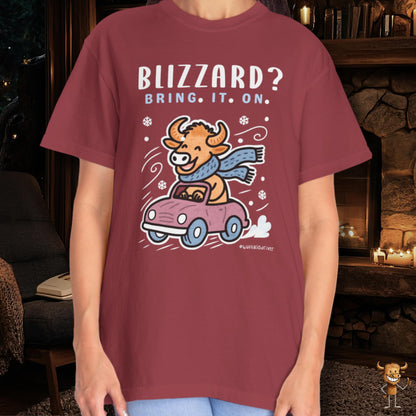 Blizzard? Bring. It. On.