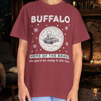 Home of the brave - driving through winter storm