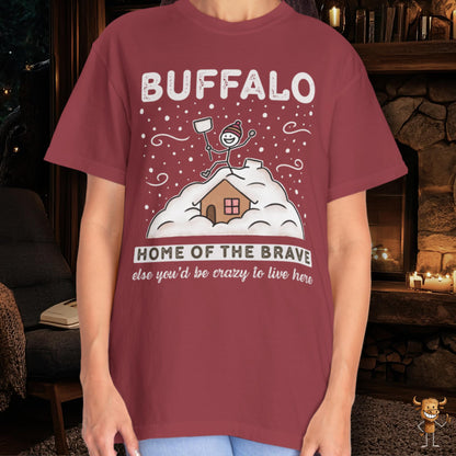 Home of the brave - shoveling the roof