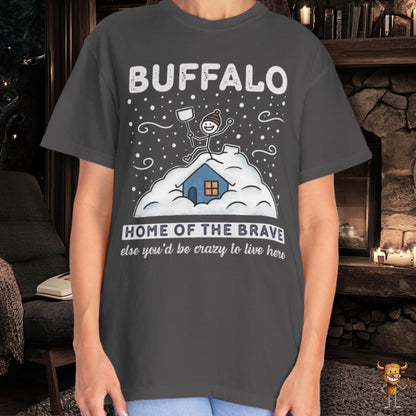 Home of the brave - shoveling the roof