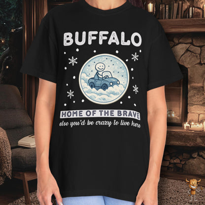 Home of the brave - driving through winter storm