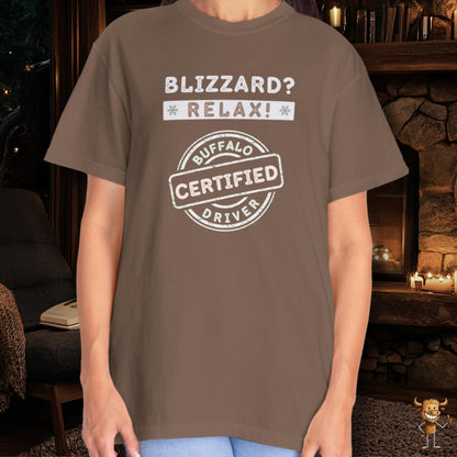 Blizzard? Relax: Certified Buffalo driver