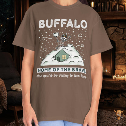 Home of the brave - shoveling the roof